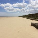 california sands beach
